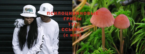 каннабис Абинск