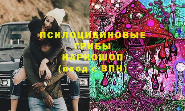 гидропоника Абаза