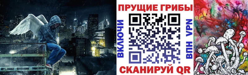 купить наркотик  Вытегра  Псилоцибиновые грибы прущие грибы 